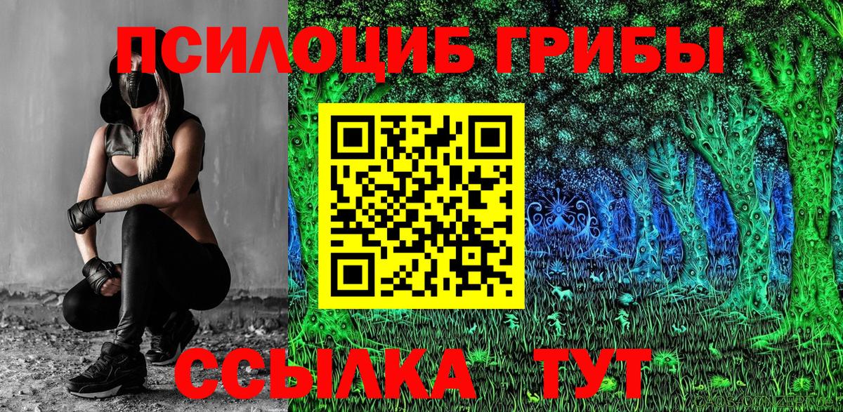 Галлюциногенные грибы Psilocybine cubensis Полысаево