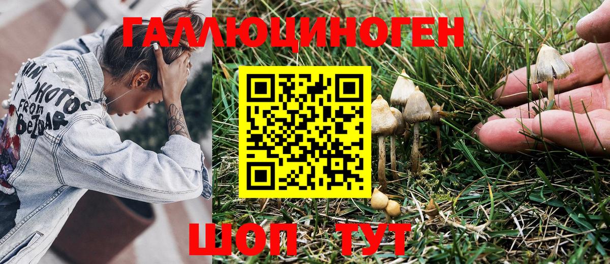 Псилоцибиновые грибы мухоморы  Псилоцибиновые грибы Psilocybe  Вход с VPN  Полысаево 